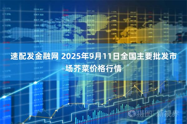 速配发金融网 2025年9月11日全国主要批发市场芥菜价格行情
