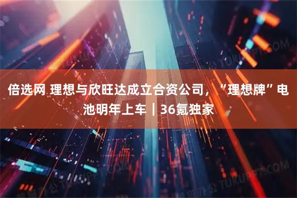倍选网 理想与欣旺达成立合资公司，“理想牌”电池明年上车｜36氪独家