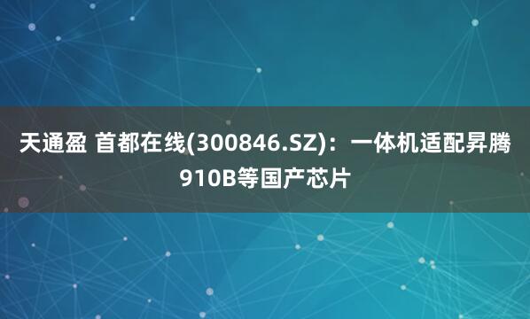 天通盈 首都在线(300846.SZ)：一体机适配昇腾910B等国产芯片