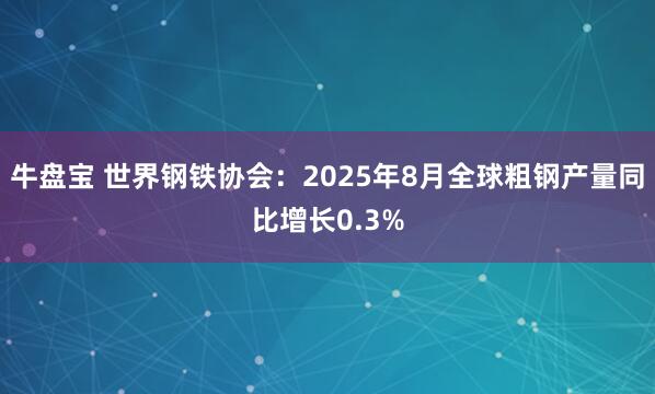 牛盘宝 世界钢铁协会：2025年8月全球粗钢产量同比增长0.3%