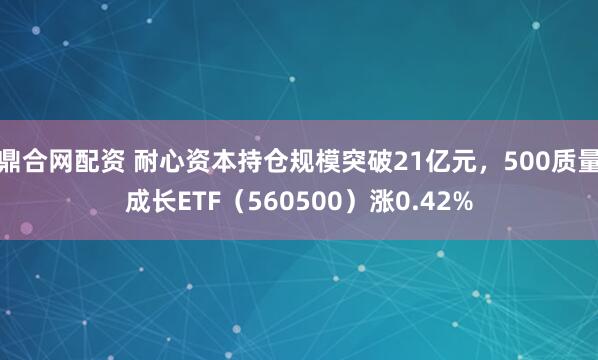 鼎合网配资 耐心资本持仓规模突破21亿元，500质量成长ETF（560500）涨0.42%
