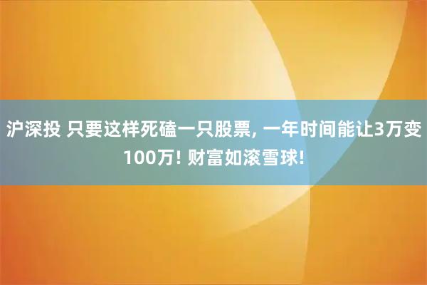 沪深投 只要这样死磕一只股票, 一年时间能让3万变100万! 财富如滚雪球!